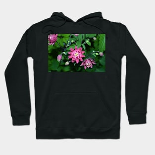 Columbine Flowers Hoodie